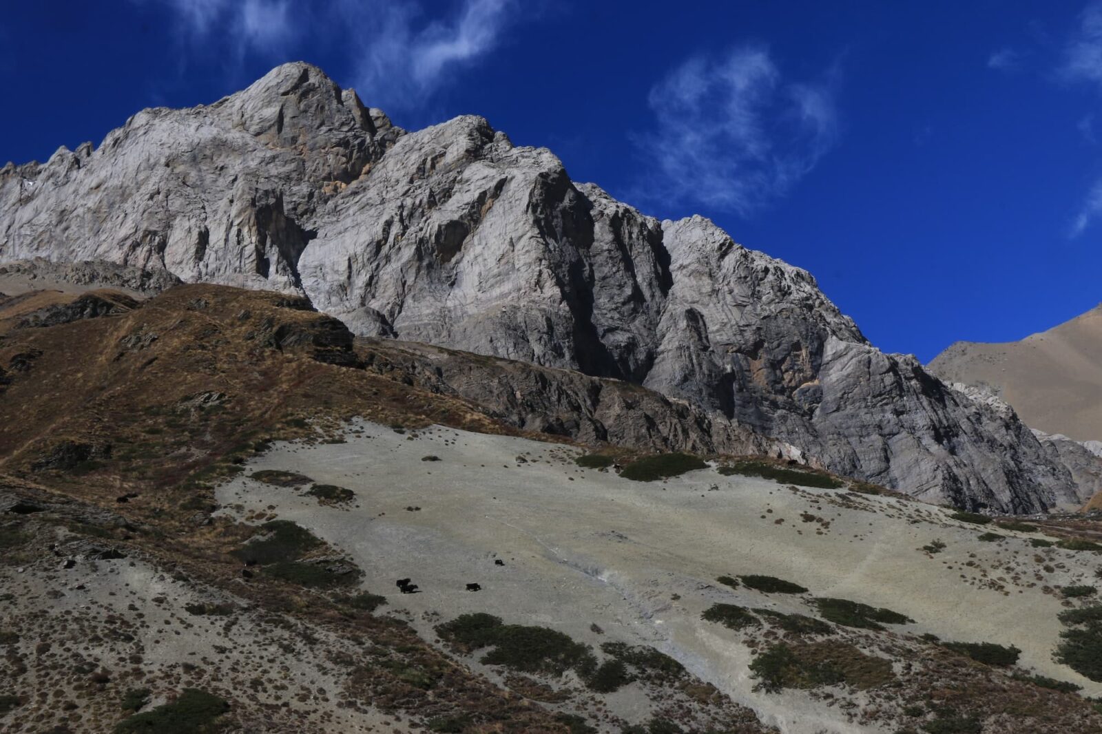 tilicho base camp